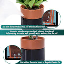 6.5 Inch Self-Watering Planter Pot with Terracotta Insert, Deep Water Reservoir, and Ceramic-Alike BPA-Free Plastic Pot for Plant, Modern Planter for Houseplants, Black/Terracotta, 53-B-S-5 by CozyNest Decor