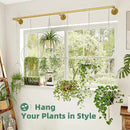Plant Hanger Indoor Hanging Planters for Indoor Plants Hanging Plant Holder Window Plant Rod Gold Metal Shelves 63 Inch (Pot/Chains not Included by CozyNest Decor