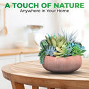 Premium Assorted Artificial Succulent Collection - Large Real Touch Artificial Cactus, Aloe Vera & Succulent Plants Artificial with Pots for Home Office Indoor (Artificial Coconut Shell - Pot) by CozyNest Decor