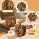naturevibe 4.3 Inches Elegant Feathered Pumpkin Decor Set of 4 for Thanksgiving Decorations, Natural Feather Pumpkins as Fall Home Decor,Centerpieces for Tables or Autumn Harvest Gifts by CozyNest Decor