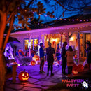 JMEXSUSS 800 LED Christmas Lights Outdoor, 173ft 8 Modes Christmas Tree Lights Warm White, Waterproof Christmas Twinkle String Lights Plug in for House Party Wedding Xmas Indoor Decorations by GreenHaven Gardens