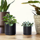 D'vine Dev 3.5 Inch & 4.7 Inch Ceramic Planter Pots for Plants with Drainage Hole and Saucer, X-Small Plant Pots Set, Black, 94-G-XS-2 by GreenHaven Gardens