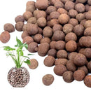 2.2LB Leca Clay Pebbles for Plants, Expanded Leca Balls for Indoor Plants, Orchid Potting Mix, Soil Amendment, Drainage, Easy Reusability, 4-16mm by GreenHaven Gardens