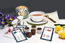 Creanoso US Schools and Learning Flash Cards Series (2-Deck) by TinyTreasures Baby Boutique