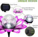 LEWIS&WAYNE Solar Garden Lights Outdoor, 3 Pcs Purple Lotus Flower Pathway Lamps with Cool White Crackle Glass Globe Led Lights for Patio Pathway Yard Balcony Garden Decorations by CozyNest Decor