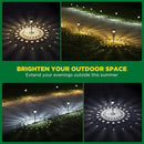Super Bright Solar Lights Outdoor Waterproof 10 Pack, Dusk to Dawn Up to 12 Hrs Solar Powered Pathway Garden Lights Auto On/Off, LED Landscape Lighting Decorative for Walkway Patio Yard by GreenHaven Gardens