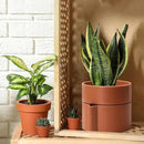 8 Inch Self-Watering Planter Pot with Terracotta Insert, Deep Water Reservoir, and Ceramic-Alike BPA-Free Plastic Planter Pot for Plant, Modern Planter for Houseplants, Terracotta, 53-A-T-3 by CozyNest Decor