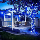 JMEXSUSS 250LED Christmas String Lights 91.5ft Extendable Green Wire Christmas Lights Outdoor Waterproof, 8 Modes LED String Lights Indoor for Tree Wedding Party Garden Patio Decoration, Blue & White by GreenHaven Gardens