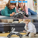 Robot Dog RC Stunt Car Toys - Gesture Sensing Remote Control car with Mecanum Wheels, LED Eyes, 3 Sound Effects, Birthday Gift for Kids Boys Girls by TinyTreasures Baby Boutique