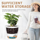Plant Pots 8/7/6.5/6/5.5/5 Inch Self Watering Pots, Set of 6 Plastic Planters with Drainage Holes and Saucers,Plastic Flower Pots,Nursery Planting Pot for Indoor Out Door Plants（White） by GreenHaven Gardens