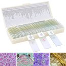60 Microscope Slides with Specimens for Kids, Prepared Microscope Slides for Kids Microbiology, Prepared Microscope Slides for Adults by TinyTreasures Baby Boutique