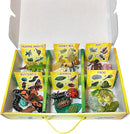 Insect Lore's Life Cycle Figurines 24 Pc Set | Butterfly, Ladybug, Frog, Honey Bee, Ant and Praying Mantis | 4 Stages Per Insect, 24 Figurines Total by TinyTreasures Baby Boutique