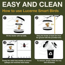 SWISSINNO No Mess Bird Feeder Lucerne Smart Birds for Fat Balls - Feed Birds, not mice & Rats! Robust & Reliable for Hanging - Green by CozyNest Decor