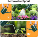 Metal Watering Can for Outdoor Plants, 1 Gallon Galvanized Steel Watering Can with Removable spout for Outdoor & Indoor Use, Perfect for Garden Flower, Houseplants, Forest Green by GreenHaven Gardens