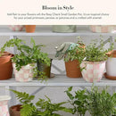 MACKENZIE-CHILDS Enamel Garden Pot, Decorative Pot for Plants, Outdoor Flowerpot Decor, Small, Pink-and-White Rosy Check by GreenHaven Gardens