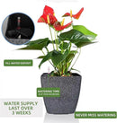 Dexceder 13x12 Self Watering Planter with Wheels Indoor Outdoor, Inner Mat Design, Thickened Large Floor Standing Flower Plant Pot with Water Level Indicator (Stone Matte) by GreenHaven Gardens