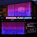RJZZ Bisexual Flag Lights Outdoor, 6.6x3.3 FT Pride Decorations Connectable, 330LED Waterproof Bi Flag With Lights for Wall, Room, Yard, Party, Office by GreenHaven Gardens