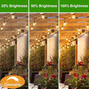 LED S14 Replacement Light Bulbs for Outdoor String Lights, 1W Shatterproof Edison Light Bulbs for Outside Patio Garden, E26 Standard Base, Dimmable, 2200K Warm White, 15 Pack by GreenHaven Gardens