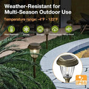 XMCOSY+ Solar Lights Outdoor 10/25 LM LED with 2 Lighting Modes, Solar Garden Lights Glass and Metal, IP65 Waterproof Solar Powered for Yard Pathway Walkway Driveway Patio (6 Pack, Warm White) by CozyNest Decor