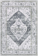 Lahome Boho Washable Rugs for Entryway - 2x3 Small Non-Slip Kitchen Rug Throw Lightweight Area Rugs for Bedroom Grey Print Oriental Distressed Bathroom Mat Floor Doormat Carpet for Laundry Living Room by TinyTreasures Baby Boutique