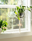 Hanging Disco Ball Planter 8" - with Acrylic Stand and Macrame Plant Hanger - Home Décor, Room Décor, Patio or Boho Décor, Mirror Disco Planter, Disco Decor (8" with Base) by GreenHaven Gardens