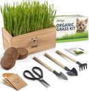 Organic Cat Grass for Indoor Cats - 4X Seed Packets | Pet Cat Grass Kit for Growing Wheat Grass w Planting Seeds, Tools & Planter by GreenHaven Gardens