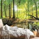 FENDROM Forest Tapestry Wall Hanging Trees Trunk Nature Green Sunlight Wall Tapestry for Livingroom Bedroom Dorm Home Decor by CozyNest Decor