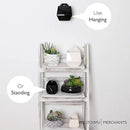 Milltown Merchants Succulent Wall Planters - Wall Vases - White Ceramic Wall Mounted Planters - Succulent Plant Pots - Hanging Vases for Living Wall (1 Pack/Contemporary/Black) by GreenHaven Gardens