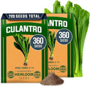 HOME GROWN Culantro Seeds - 720+ 𝗡𝗢𝗡-𝗚𝗠𝗢, 𝗨𝗦𝗔-𝗦𝗢𝗨𝗥𝗖𝗘𝗗 Heirloom Herb Seeds for Planting, Slow-Bolting, Flavorful Cilantro Alternative, Great for Outdoor Herb Gardens (Eryngium foetidum) by GreenHaven Gardens