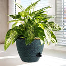 12/10/9 inch Large Self Watering Pots, Planter, Plant Pots with Mesh Drainage Holes for Indoor Outdoor Garden Plants, Plastic Flower Pots with Deep Reservoir, Black with Green Speckles by GreenHaven Gardens
