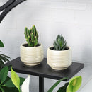Mini Succulent Planter Set – 3.7 Inch Ceramic Pots with Drainage for Indoor Plants, Small Decorative Flower Pots for Cactus and House Plants, Set of 4 by CozyNest Decor