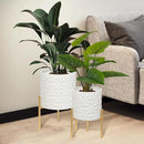 ARNIS Modern Planter Pots, Set of 2 Large Planters with Stand, Decorative Planters, Metal Pots with Drainage Holes for Living Room, Office, Garden or Balcony, 8.25 &10.5 Inch, Matte White by CozyNest Decor
