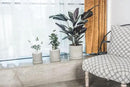 Ekirlin 5 Inch Flower Plant Pot Indoor - Grey Cement Garden Planter Concrete Planter with Drain Hole Saucer, Modern Succulents Containers for Home Decor, Office & Outdoor by GreenHaven Gardens