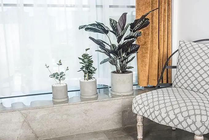 Ekirlin 9 Inch Flower Plant Pot Indoor - Grey Cement Garden Planter Concrete Planter with Drain Hole Saucer, Modern Succulents Containers for Home Decor, Office & Outdoor, photo 6 of 8