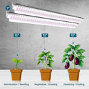 Barrina LED Grow Light 4FT,168W(4 x 42W, 1000W Equivalent), Full Spectrum, V-Shape with Reflector Combo, Grow Lights for Indoor Plants, Greenhouse, 4-Pack by GreenHaven Gardens