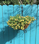 2 Pack Heavy Duty Plant Hanger Bracket, 16Inch Hanging Brackets for Plants Outdoor and Indoor, 80lbs Holding Capacity Metal Plant Wall Hooks, Black Hanging Plant Brackets for Flower Wind Bird Feeder by GreenHaven Gardens