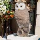 Owl Outdoor Statues Garden Yard - Decoration Home Decor Indoor Desk Tabletop Collectible Figurines Ancient Retro Collection 11" x4.5" x5 Inch by GreenHaven Gardens