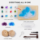 Japace Earth Science Kits for Kids Age 4-6-8-12-14, Birthstone Gemstone Dig Kit, Geology Kit with Break Your Own Geodes, Crystal Growing Experiment, Rock Mining Kit Birthday Gifts Toys for Boys Girls by TinyTreasures Baby Boutique