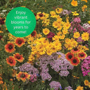Earth Science Perennial Wildflower Mix - 3-in-1 Formula with Premium Wildflower Seeds—6 lb— Plant Food and Soil Conditioners - Non-GMO, Natural Ingredients by GreenHaven Gardens