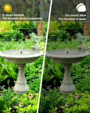 Biling Solar Fountain Pump, Solar Bird Bath Fountain Water Pump Outdoor with Tubing, Solar Fountain for Bird Bath, Garden Pond, Pool, Fish Tank,Backyard by GreenHaven Gardens