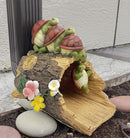 Funny Turtle Gutter Downspout Extender Statue, Garden Ornament, Decorative Gutter Extension Downspout, Perfect Rain Diverter for 3"x4" Downspouts, Eco-Friendly Resin, Outdoor Decor Gift (8 In) by GreenHaven Gardens