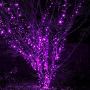 DAZZLE BRIGHT Halloween 300 LED String Lights, 100FT Connectable String Lights with 8 Lighting Modes, Halloween Decorations for Party Carnival Supplies, Indoor Outdoor Yard Garden Decor (Purple) by GreenHaven Gardens