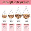 LaLaGreen Hanging Planter for Outdoor Plants (6 Pack, 10 Inch) Hanging Baskets with Coco Liner, Metal Wire Flower Basket Pots with Hook Hanger Balcony Porch Farmhouse Country Style Garden Decor by GreenHaven Gardens