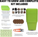 10 Herb Seeds Garden Starter Grow Kit with Green Pots, Markers, Nutritional Soil, Watering, Herb Clipper, Complete Indoor Potted Plant Growing Set for Kitchen DIY by GreenHaven Gardens