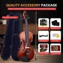 Pyle 1/2 Size Beginner Violin Starter Kit, Violin Starter Package with Travel Case & Bow, Extra Strings, Digital Tuner, Shoulder Rest & Cleaning Cloth for Students, Kids, Adults by TinyTreasures Baby Boutique