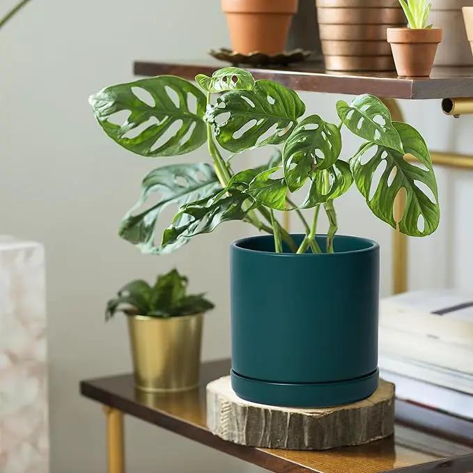 D'vine Dev Set of 2 Plants Pots, 6 Inch Ceramic Planter Pot for Plants with Drainage Hole and Saucer, Teal, 94-V-C-9, photo 6 of 7