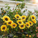 Solar Garden Lights Outdoor Waterproof, AHAORIGIN 3 Pack Sunflower Solar Lights for Outside with 9 Lifelike Sunflower, 36 Bright LED Solar Powered Outdoor Lights for Yard Pathway Garden Decorations by GreenHaven Gardens