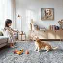Lofus 6x9 Area Rug for Living Room,Grey Washable Area Rugs with Non-Slip Backing,Soft Neutral Carpets for Bedroom Dining Room Home Office Indoor Nursery by TinyTreasures Baby Boutique