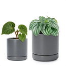 D'vine Dev 3.5 Inch & 4.7 Inch Ceramic Planter Pots for Plants with Drainage Hole and Saucer, X-Small Plant Pots Set, Speckled Grey, 94-G-XS-3 by GreenHaven Gardens