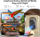 Bird Feeder with Camera, 2K HD Live Video, Smart Bird Cam Solar Powered with AI Birds Species Identification, Auto Capture Video, Instant Arrival Alerts, Best Gifts for Mom Dad by CozyNest Decor